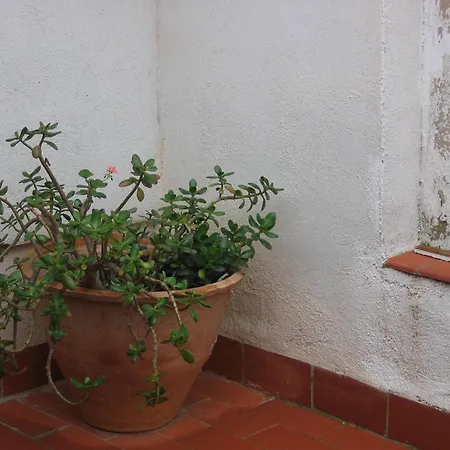 Casa De Maestro, Costa Dorada アパート アルカナル